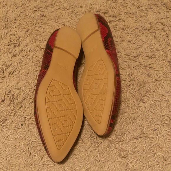 Zodiac Hill Flat - Picture 5 of 8